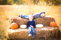 Brasher Fall Mini